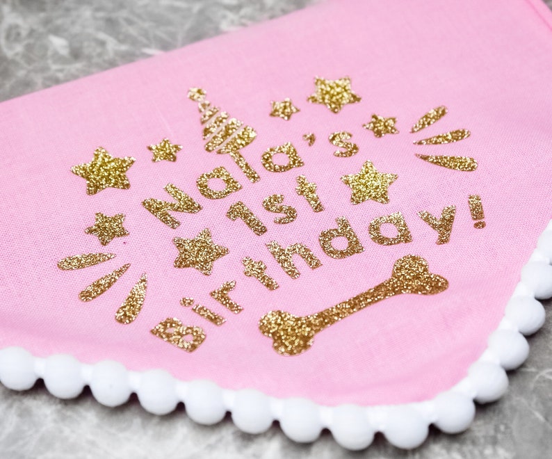 May include: Pink fabric dog collar with a gold glitter design that says "Nala's 1st Birthday!" with stars and a bone.