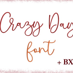 Script machine embroidery font Crazy Day , Embroidery design for machine embroidery , Cursive cute BX font 5 sizes