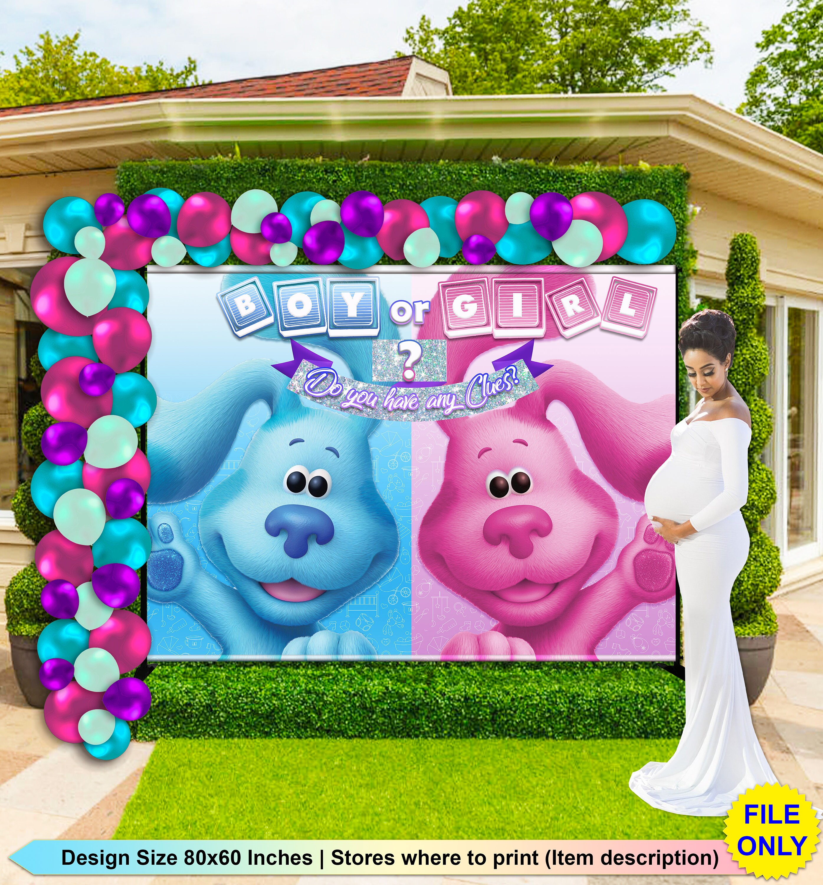 Blue's Clues Backdrop Blue's Clues Banner Blue's Etsy