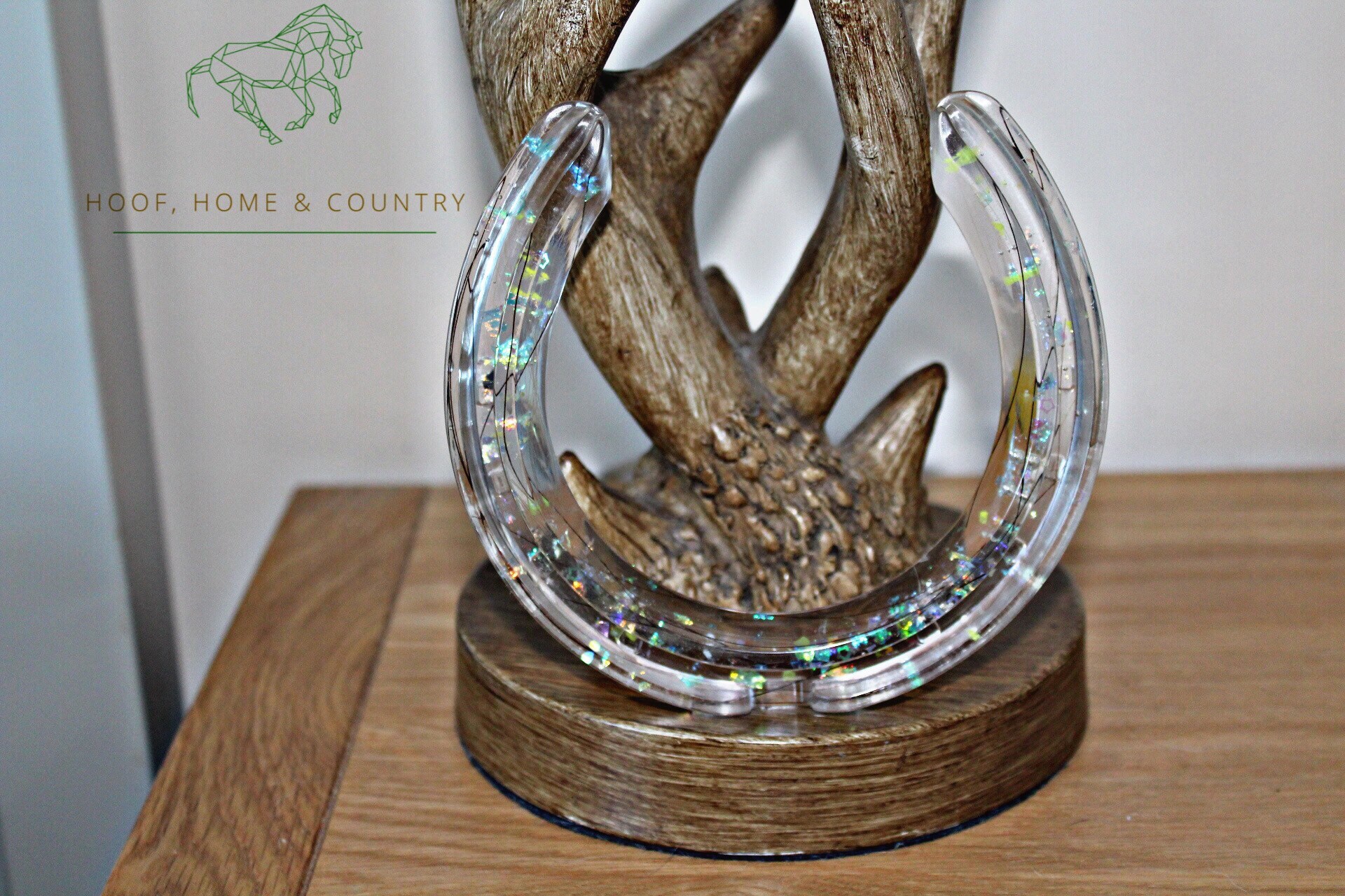 Bespoke Horse Hair Resin Horseshoe Keepsake Etsy