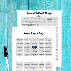 Animal Science Bingo - bingo game - games for kids - science games