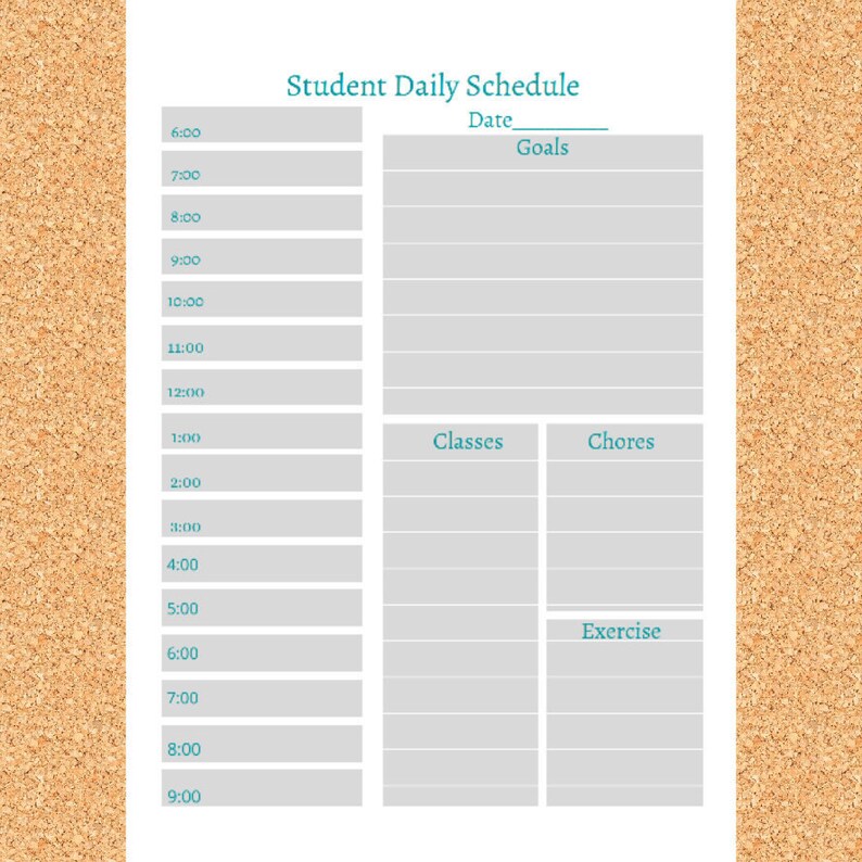student-daily-schedule-daily-schedule-daily-routine-etsy