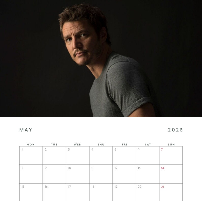 Pedro Pascal Digital Calendar 2023 Etsy
