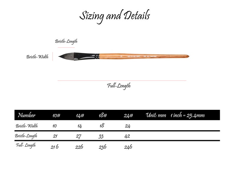 Artist Paint Brush Cat's Tongue Squirrel Bristle Brushes Etsy