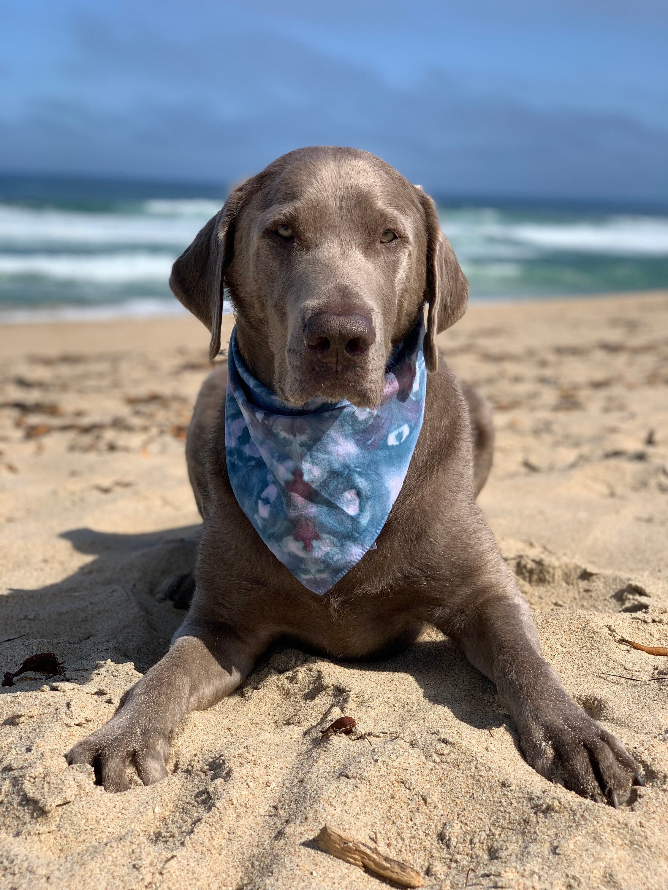 hippie dog bandana