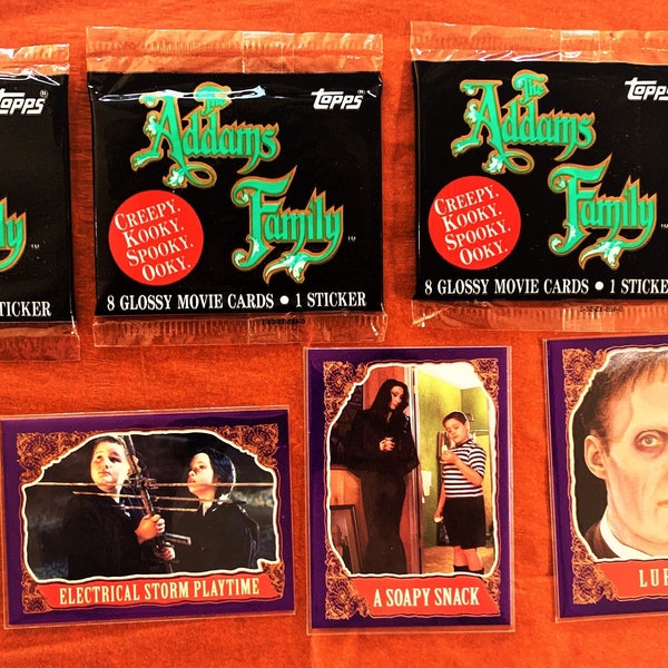 Famille Addams One Pack (1991)