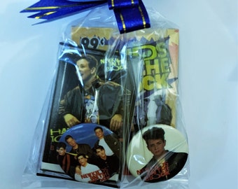 NKOTB Mini Treat Bag