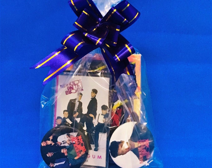 NKOTB Mini Treat Bag