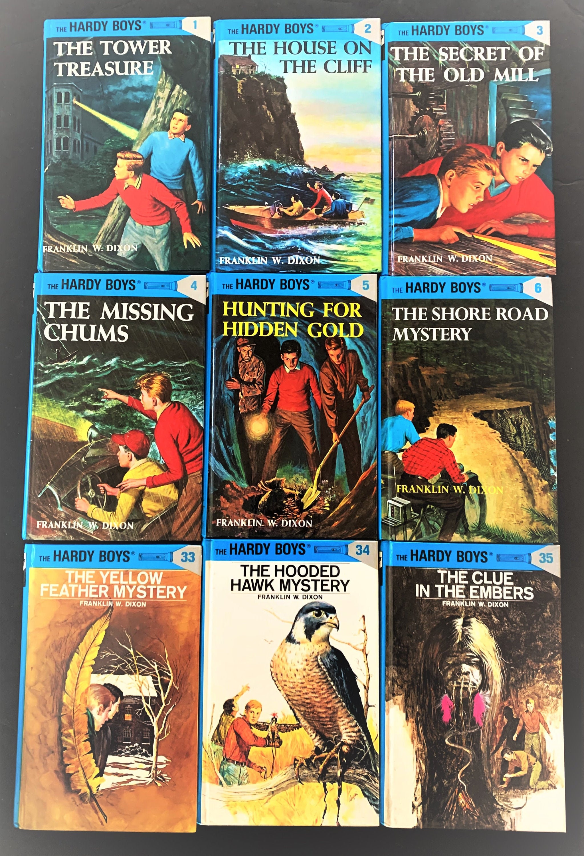 Hardy Boys (Flashlight Series) Choose One Book