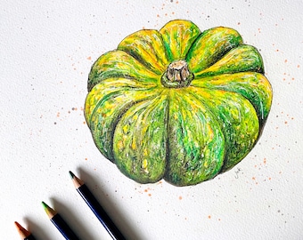 May include: A hand-drawn watercolor illustration of a green and yellow squash with a textured surface. The squash is drawn on a white background with brown and orange watercolor splatters.