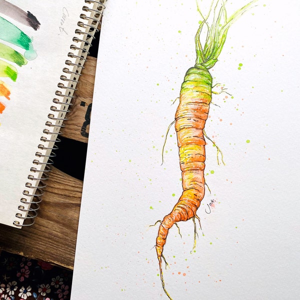 ORIGINAL ART - Allotment Veg | A4 Wonky Carrot Watercolour Illustrations