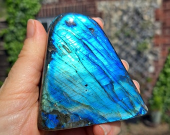 Labradorite Freeform - High Flash - MEDIUM