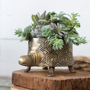 Turte Planter Pot | Antique Gold Plant Holder Decor