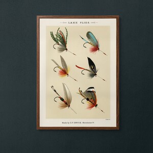 Vintage lake fly fishing lure hackles flies wall art. ‘Favourite Flies’ by Mary Marbury 1892.  Instant downloadable digital print.