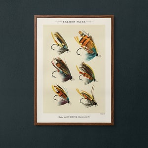 May include: A vintage illustration of six salmon flies, each with intricate details and colorful feathers. The flies are arranged in rows on a cream-colored background. The text "SALMON FLIES" is at the top of the image, and "Made by C.F. ORVIS, Manchester, Vt." is at the bottom.