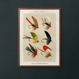 Vintage bass fly fishing flies lure hackles wall art. ‘Favourite Flies’ by Mary Marbury 1892.  Instant downloadable digital print.