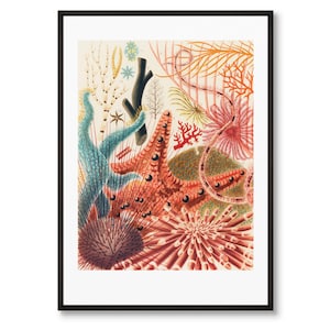 Puede incluir: Una ilustración vintage de vida marina colorida, que incluye una estrella de mar, erizos de mar y coral. La ilustración está realizada en un estilo vibrante con tonos de rojo, naranja, rosa, azul y verde.
