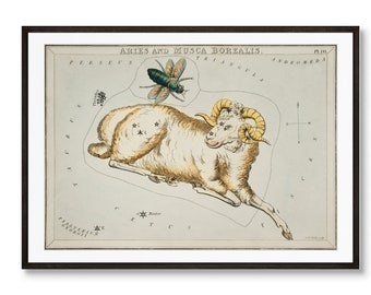 Sidney Hall's Astronomical Chart - Aries and Musca Borealis (1831)