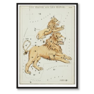 Astronomische Karte von Sidney Hall – Leo Major und Leo Minor (1831)
