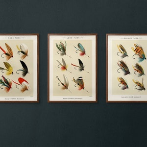 May include: Three framed vintage illustrations of different types of fishing flies. The illustrations are labeled "Bass Flies", "Lake Flies", and "Salmon Flies". Each illustration features a variety of colorful flies with intricate details.