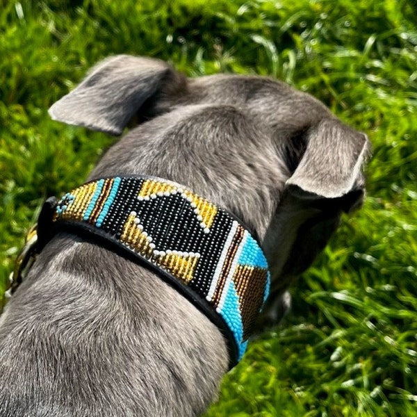 Lurcher Collar Etsy UK