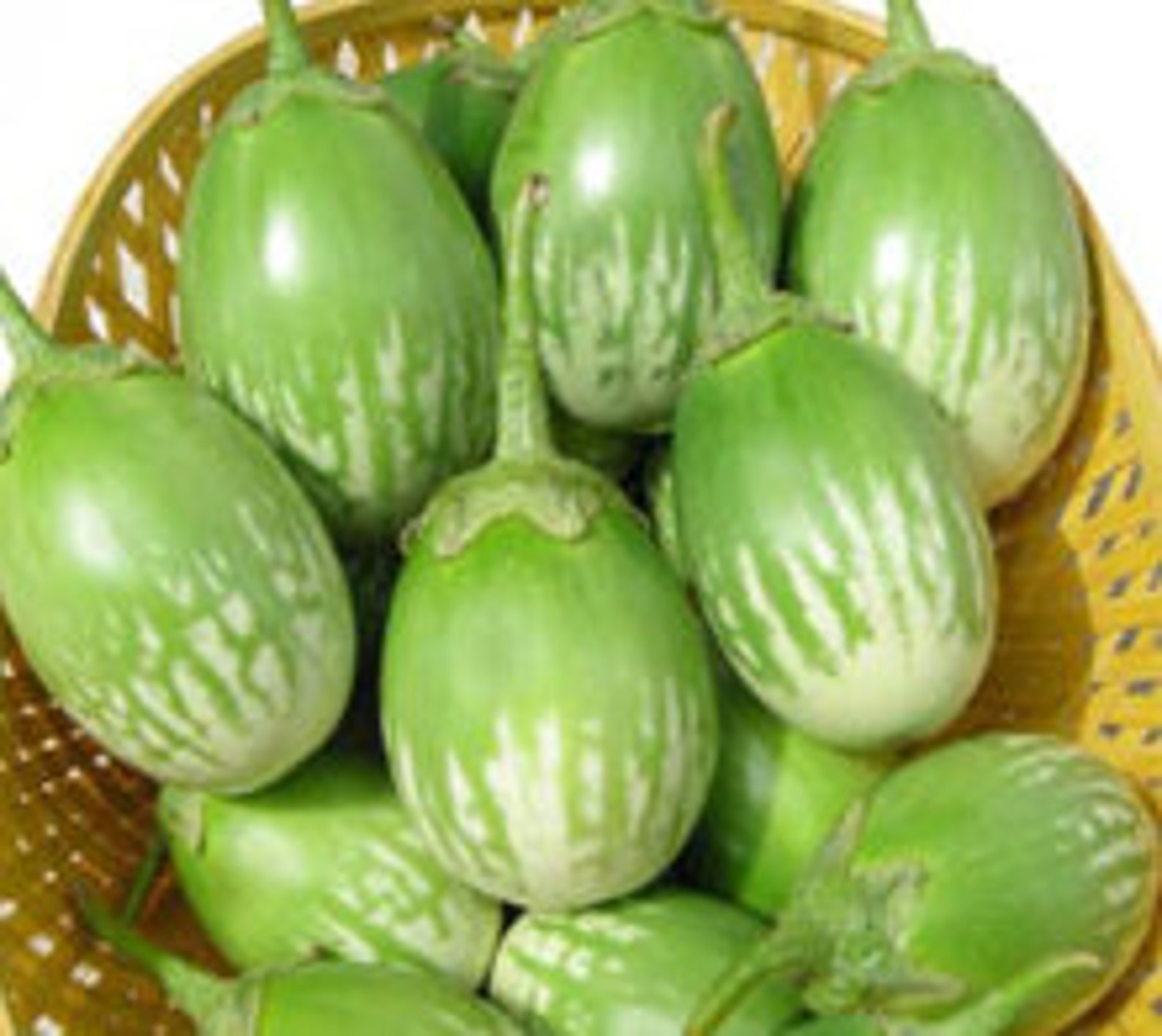 Green Round Eggplant With Light White Stripes Etsy
