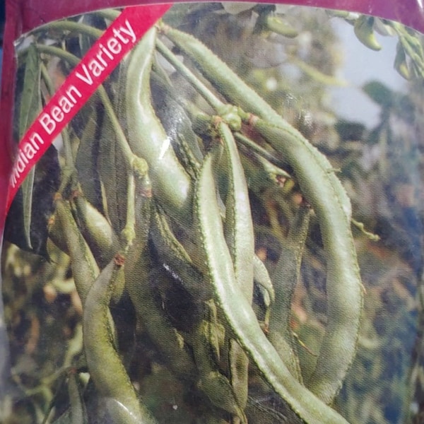 Arka Indian bean variety