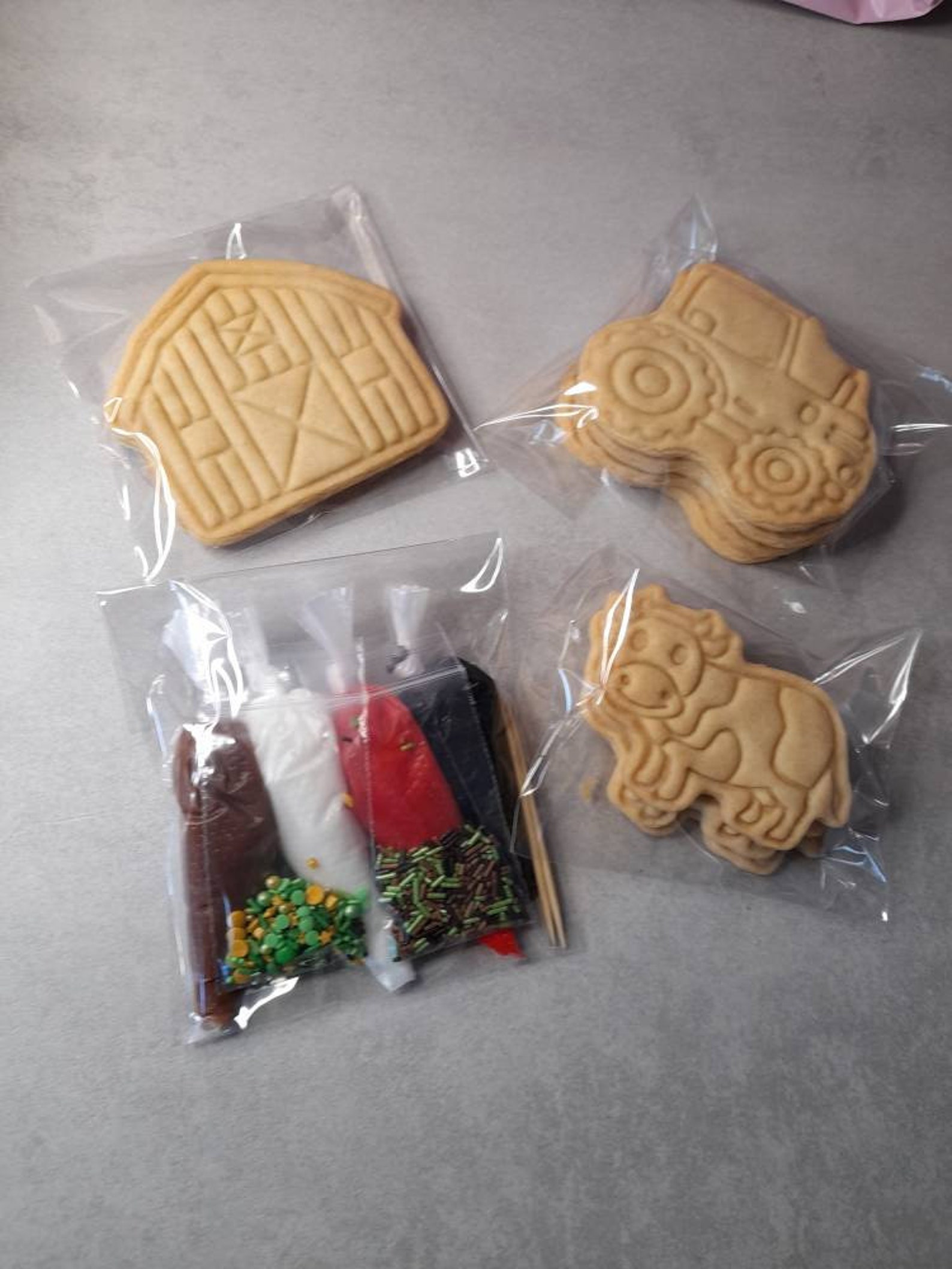 Biscuits Decorating Kit Kids Fun Zoom Activity Farm Etsy