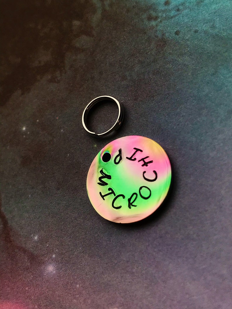 Rainbow microchip tag cat tag dog tag rainbow metallic microchip tag