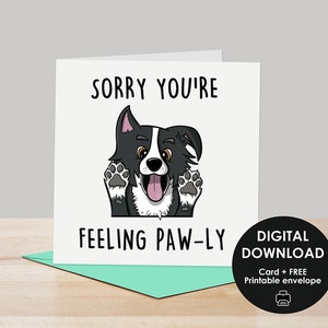 Cartão para impressão, Cartão de melhoras logo, Cartão de melhoras para impressão, Cartão para amantes de cães, Cartão Border Collie, Cartão para cães, Cartão para amantes de cães
