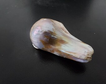 Perla oceánica natural masiva de Perla de almeja gigante Perla gigante opalizada australiana ultra rara 45.17 ct
