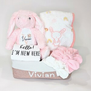 Benutzerdefinierte Baby-Geschenk-Korb, Baby-Essners, Baby-Dusche-Geschenk, Hallo ich bin neu, Plüschtier, personalisierte Kaninchen, personalisierte Baby-Geschenk