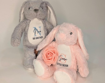 Big Brother New Baby Sibling Gift Box, Big Sister, Custom Gift, Stuffed Animal, Baby Shower gift, Little Sister, Little Brother, Stuffy