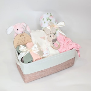 Nouveau coffret cadeau pour bébé fille, cadeau de naissance lapin rose, essentiels pour bébé, cadeau de baby shower, carte d'étape importante, cadeau de bienvenue pour bébé, panier d'hôpital