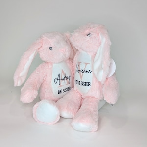Sibling Gift Box for Sisters, Big Sister Gift, Custom Gift, Stuffed Animal, Baby Shower gift, Little Sister Gift, Hospital Gift, Stuffy