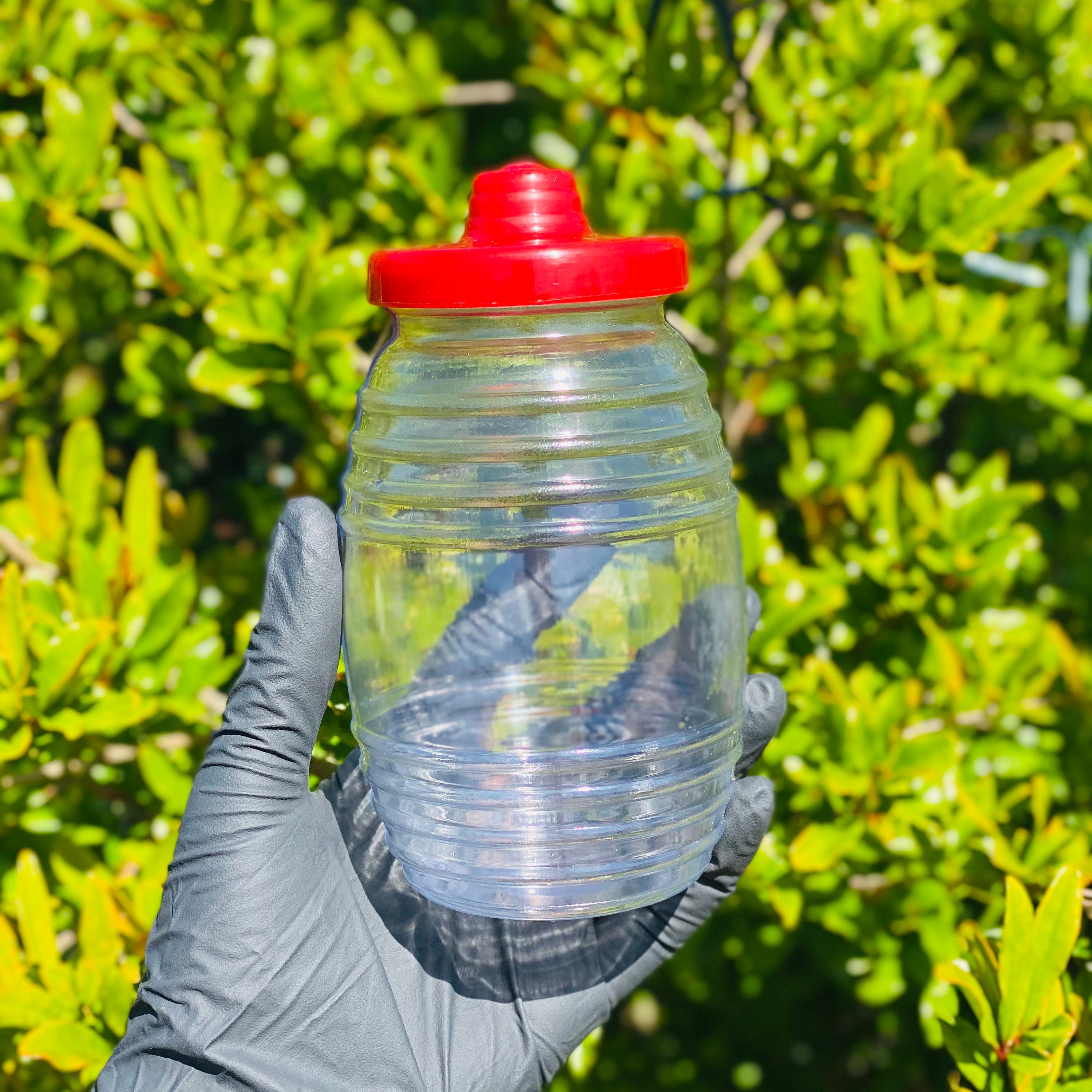 Custom mini Vitrolero mini vitrolero custom Vitrolero chavo Etsy