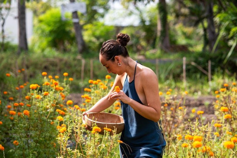 Op de afbeelding: Een persoon in een donkerblauwe jurk verzamelt oranje bloemen in een houten kom in een veld met goudsbloemen. De sc&egrave;ne speelt zich buiten af, met bomen en groen op de achtergrond, badend in zonlicht.