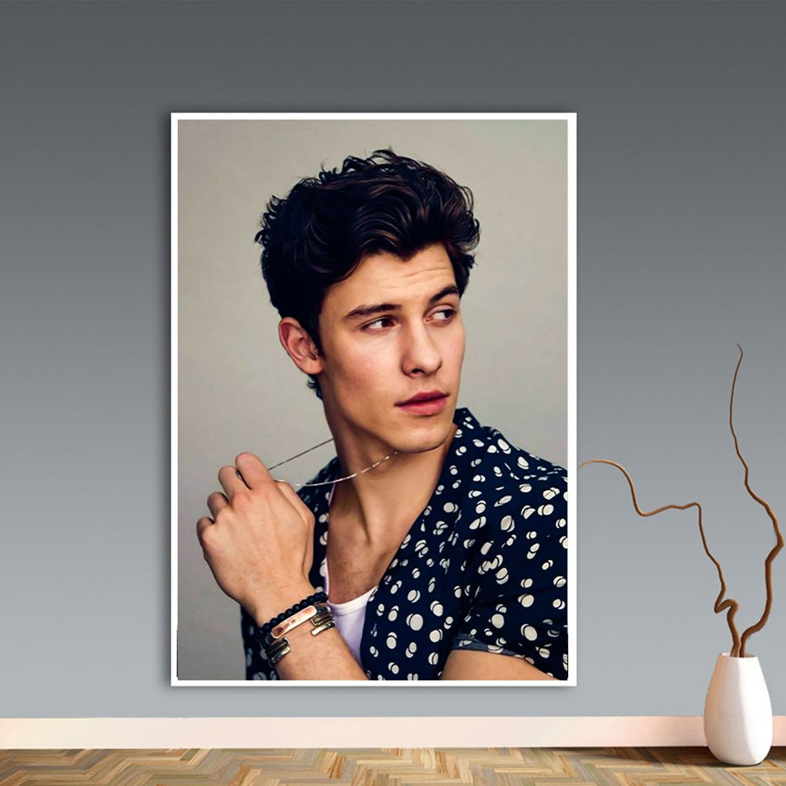 Shawn Mendes Canvas Shawn Mendes Poster Shawn Mendes Print | Etsy