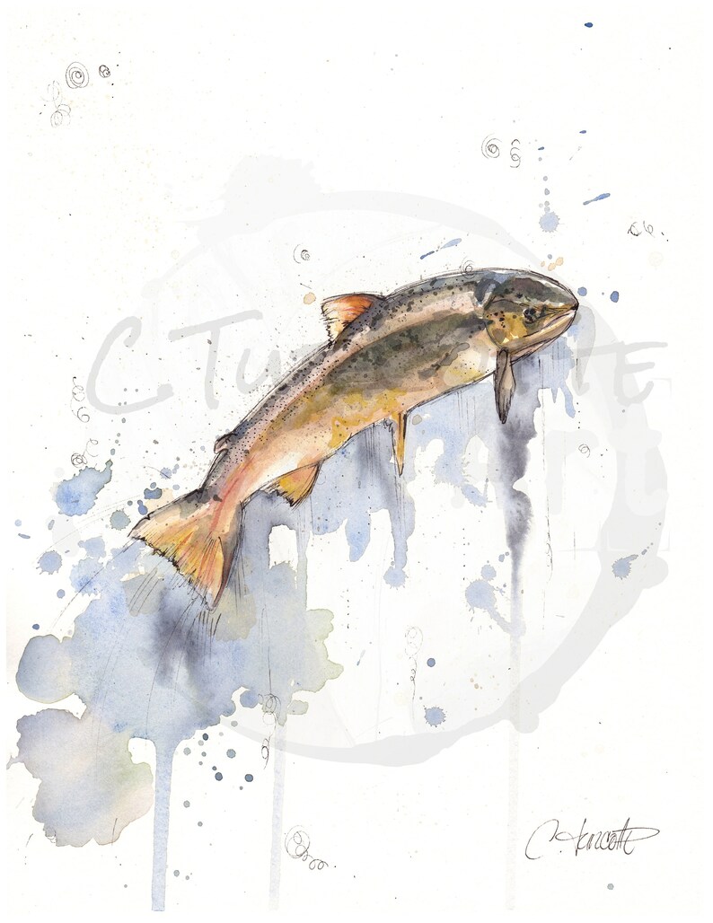 drawing painting original watercolor 8.5x11 salmon ocean Adventure hunting and fishing fish illustration to frame river