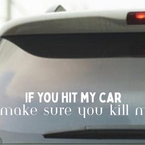 Funny Vinyl Bumper Sticker Decal