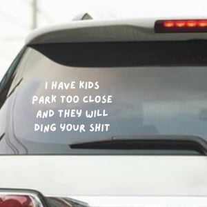 Funny Vinyl Bumper Sticker Decal