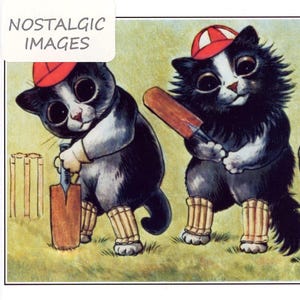 May include: Two black and white cats wearing red baseball caps and striped socks play cricket. One cat holds a bat and the other holds a cricket bat.