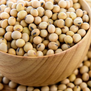 May include: A wooden bowl filled with raw soybeans. The soybeans are light brown and have a slightly wrinkled texture.