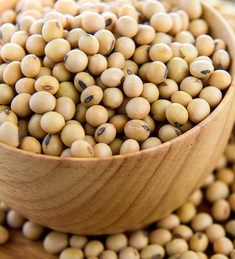 May include: A wooden bowl filled with raw soybeans. The soybeans are light brown and have a slightly wrinkled texture.