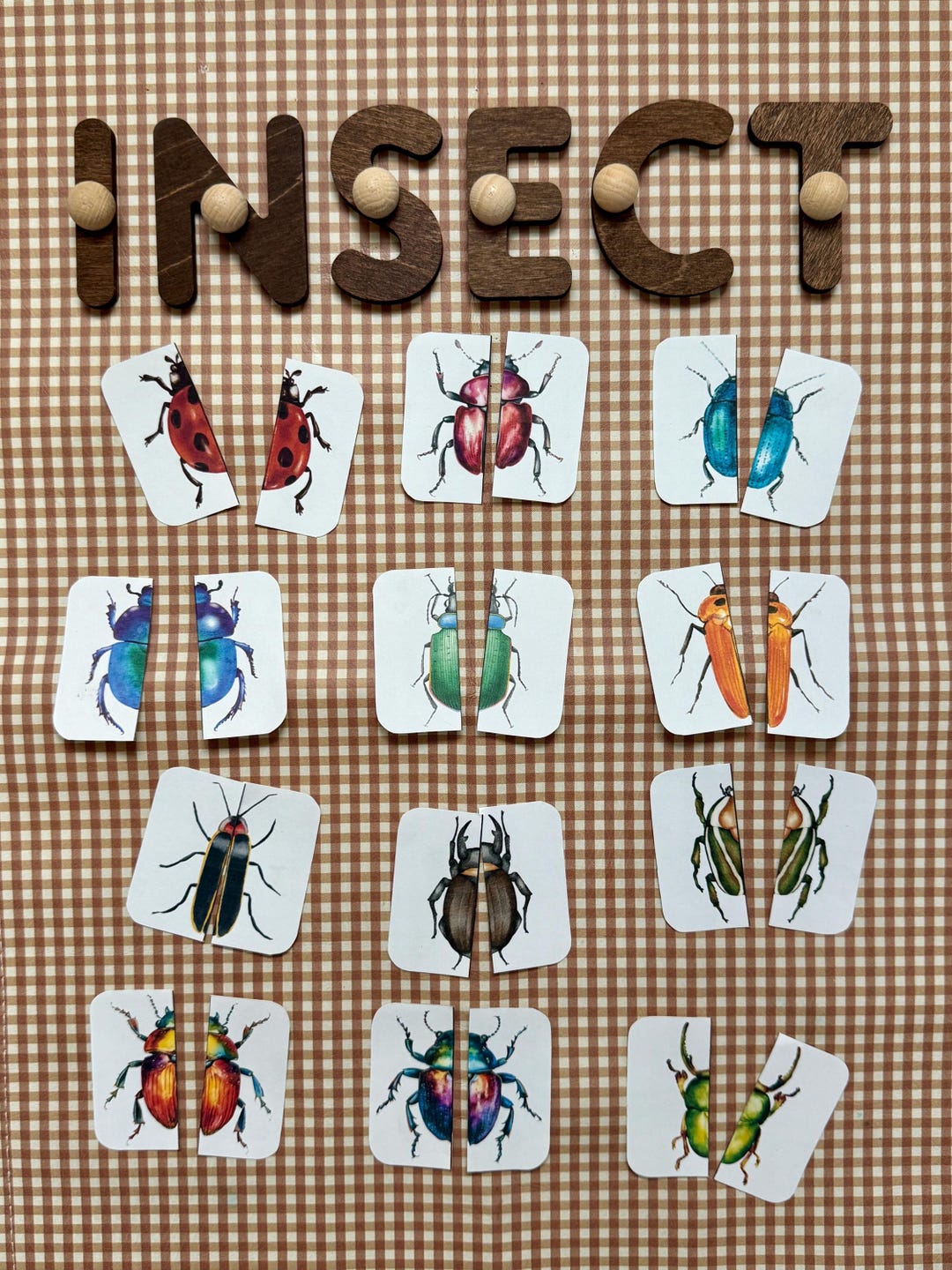 Matching Insects Activity Beetle Matching Activity | Insect Symmetry Puzzle for Preschool ...