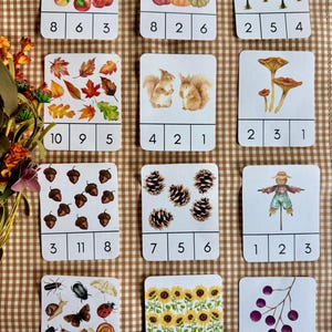 May include: Set of educational flashcards featuring autumn-themed illustrations. Cards depict apples, pumpkins, leaves, squirrels, mushrooms, acorns, pine cones, a scarecrow, insects, sunflowers, and berries. Each card has a number sequence.