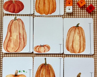 Może przedstawiać: Dziewięć kart z akwarelowymi ilustracjami dyni w różnych kształtach i kolorach, w tym pomarańczowym, czerwonym i białym. Każda karta ma czarną linię wskazującą pomiar. Są też kolorowe drewniane klocki.