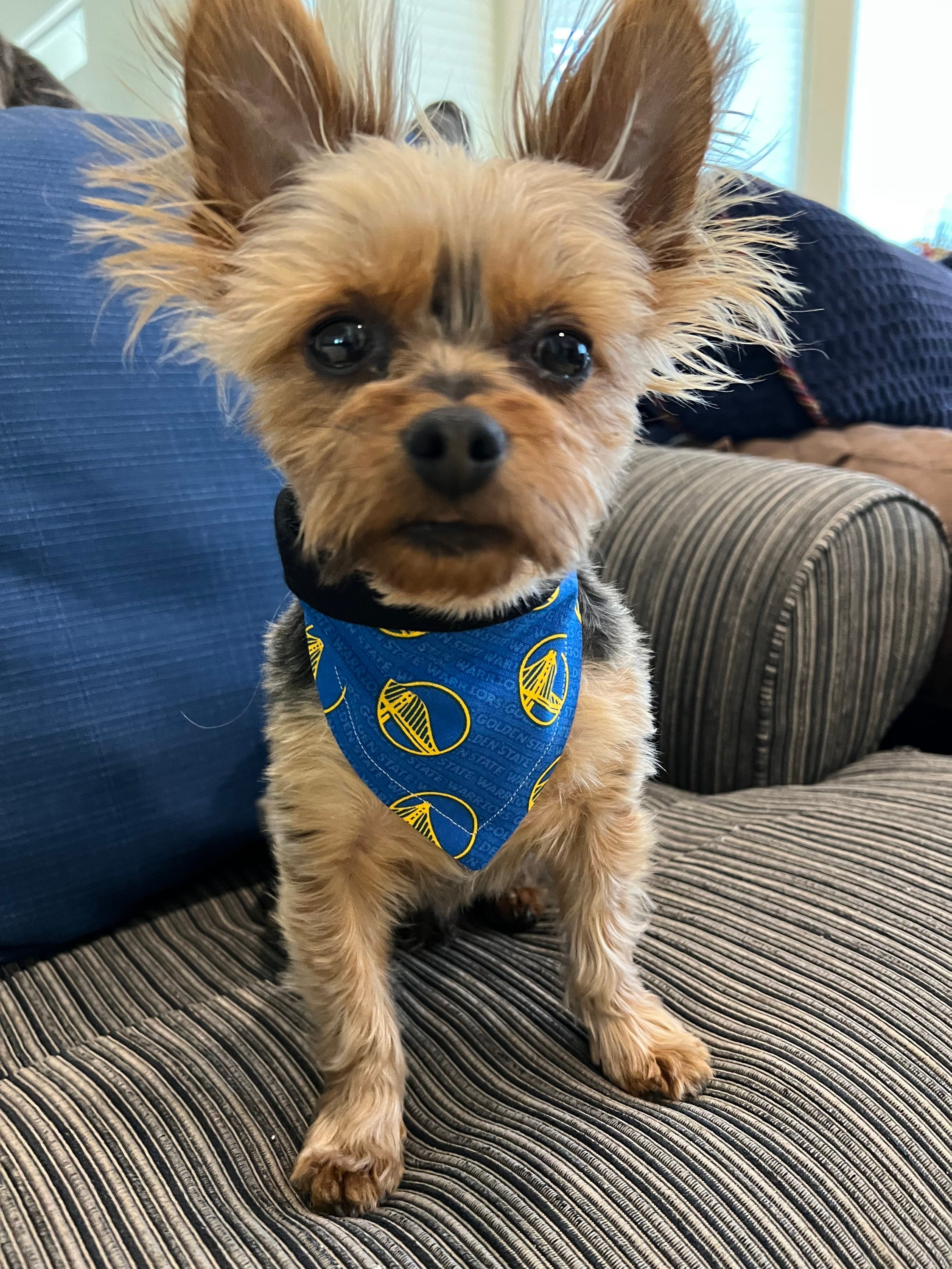 Golden state hotsell warriors dog bandana