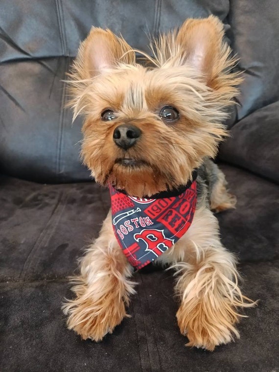 Red sox dog bandana sales