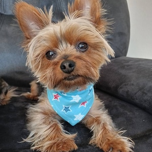 Patriotic Dog Bandana - Adjustable Collar - Dog Bandana - Dog Gift - Cute bandana - Patriotic - Bandana Dog - Small Dog